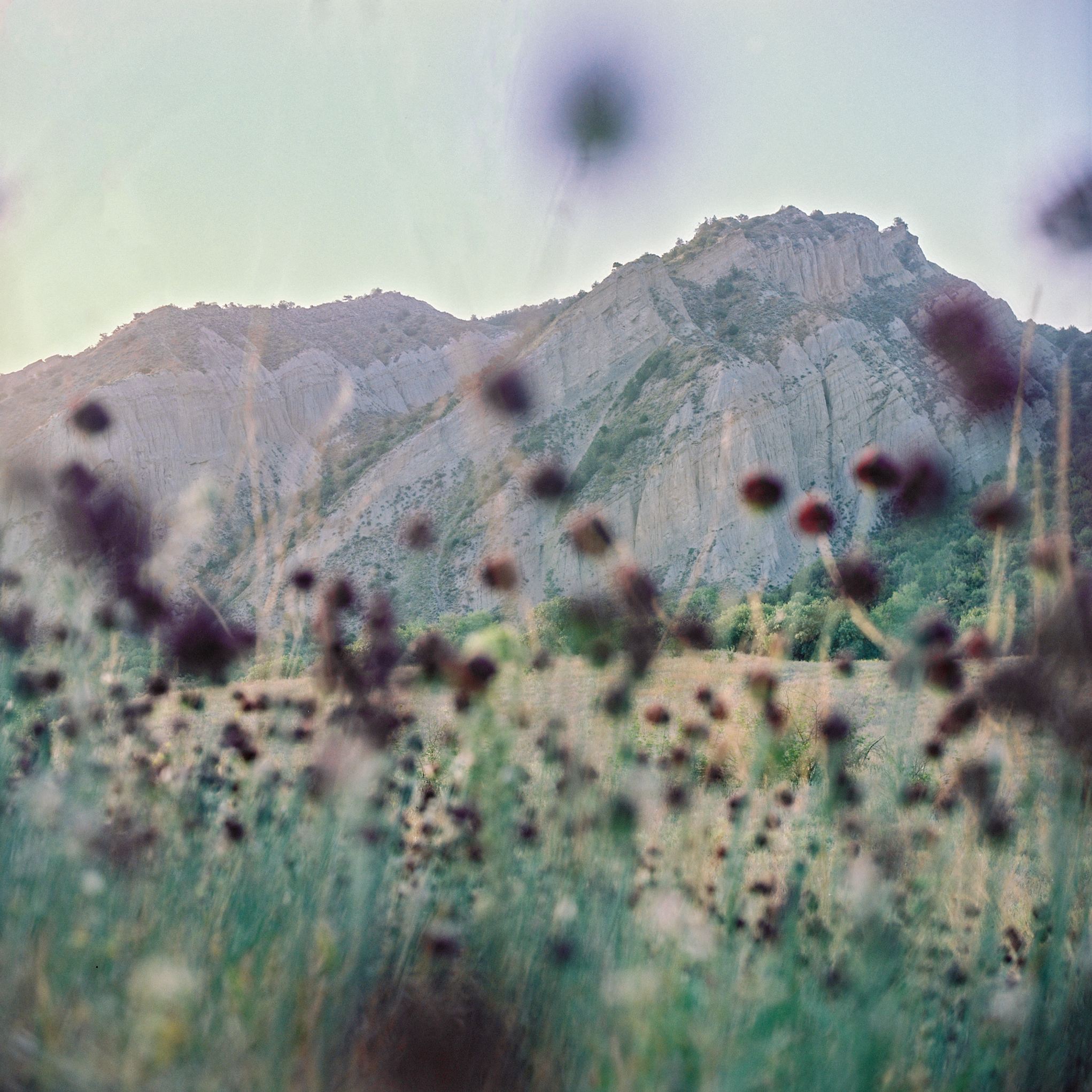 Towards Green Deal: First Biosphere Reserve in Georgia to become part of the solution #ForNature