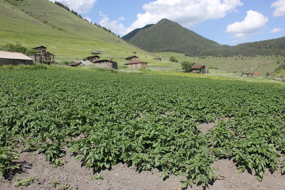Supporting Smart Agriculture Development in Remote Areas of Village Shenako, Tusheti (Akhmeta Municipality)