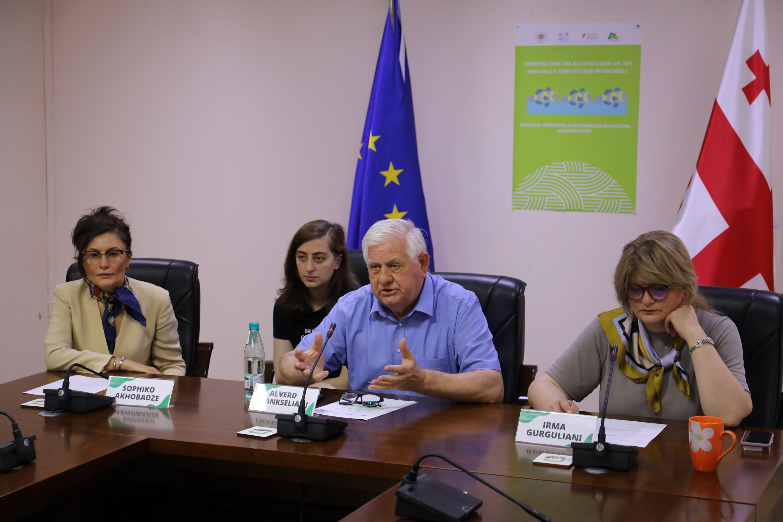 Georgia Takes Steps Towards the Ratification of the Minamata Convention