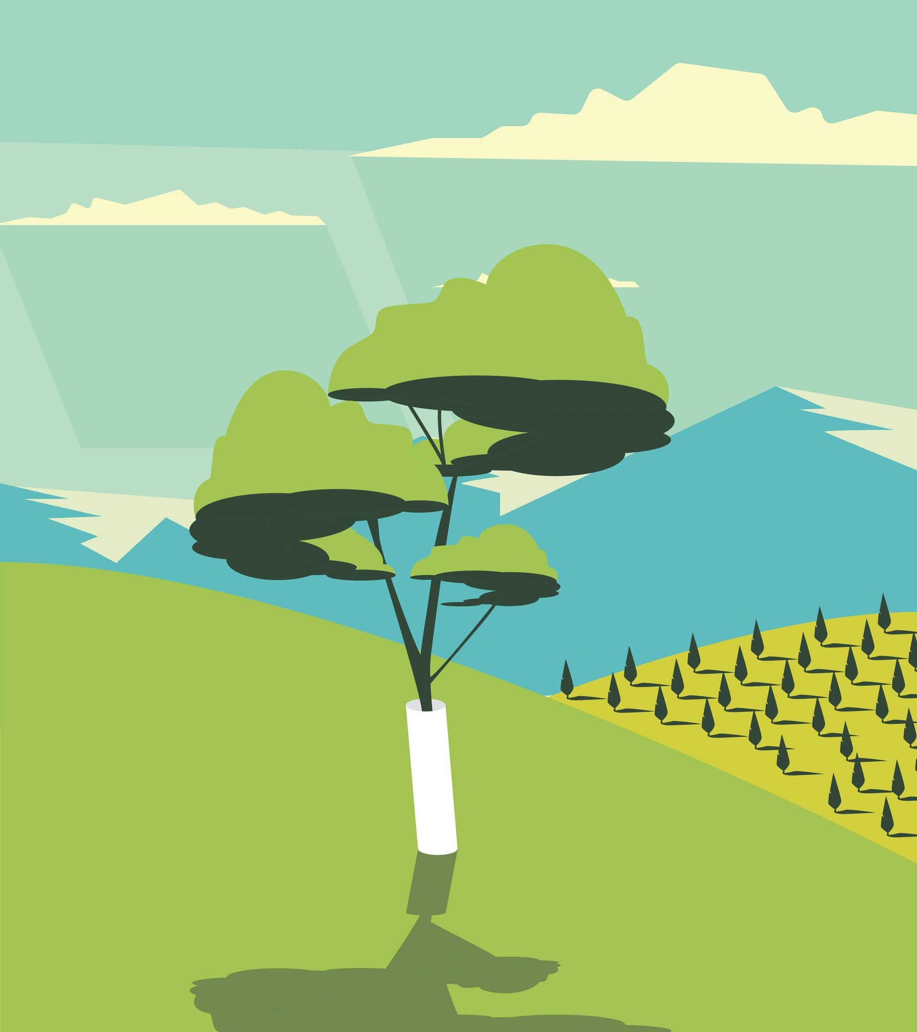 Training series on legal and practical aspects of PCBs environmentally sound management in Georgia kicks off