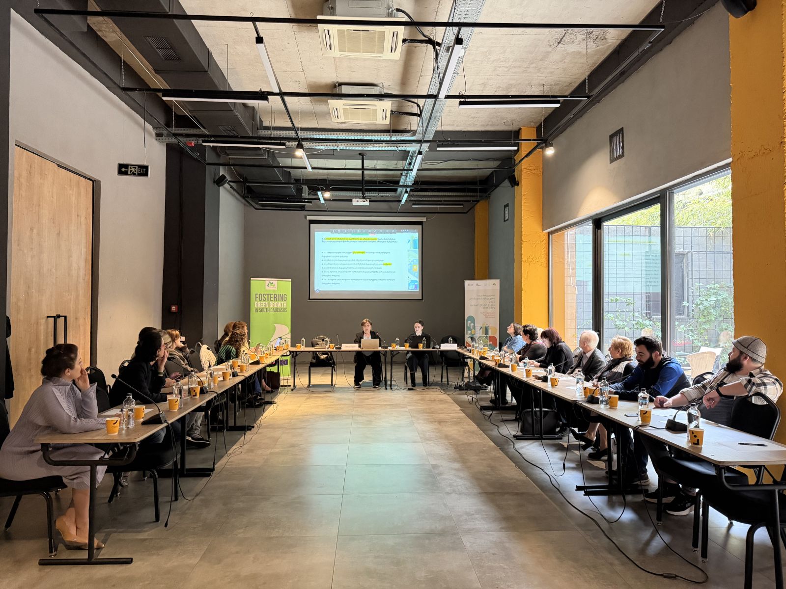 ICAT Georgia Concludes Final Technical Working Group Meetings on Climate Strategy and Action Plan