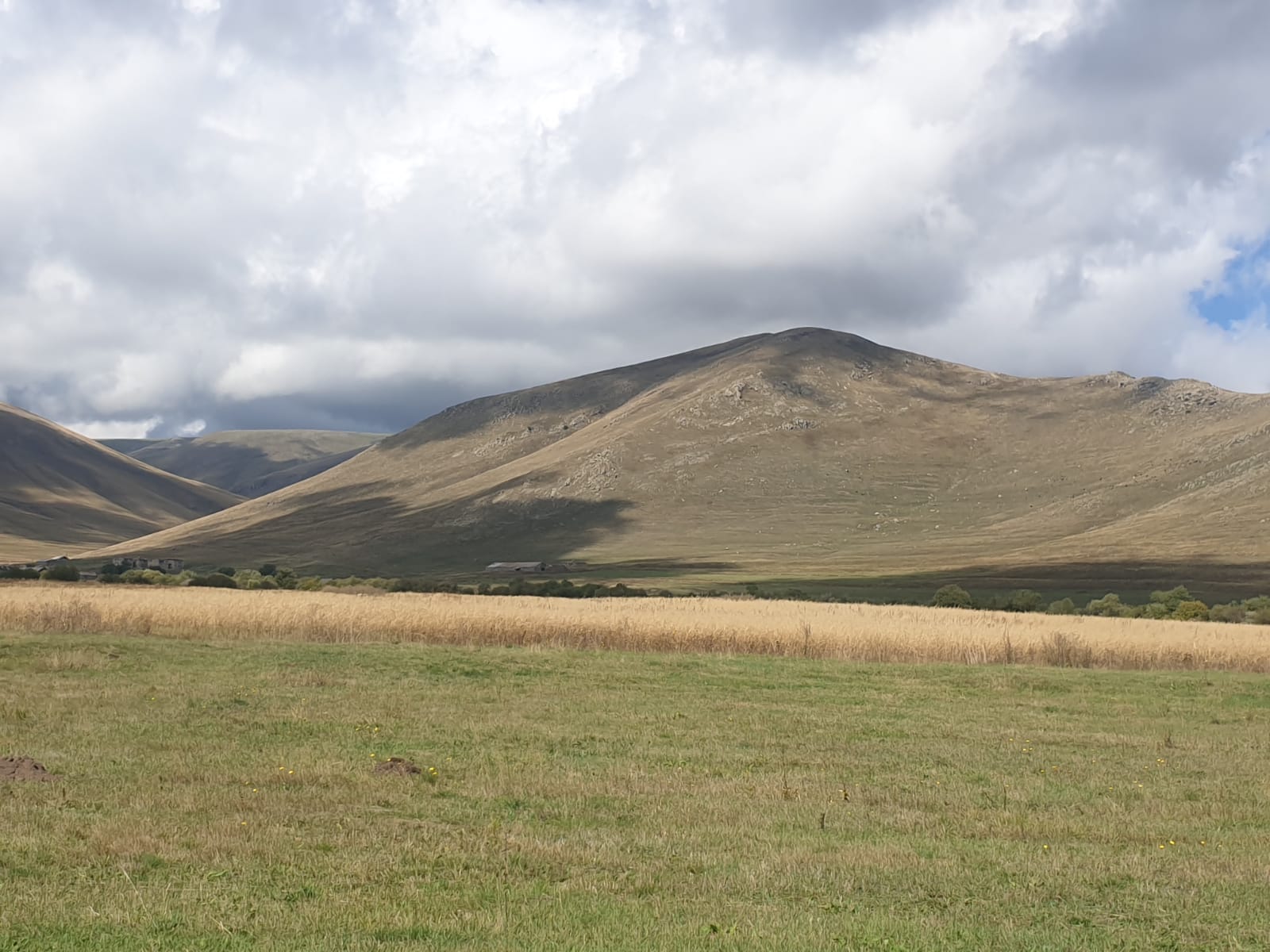 Reviving Tradition: Georgia’s Endemic Wheat Varieties Inspire Demand for Nutritious, High-Quality Bread
