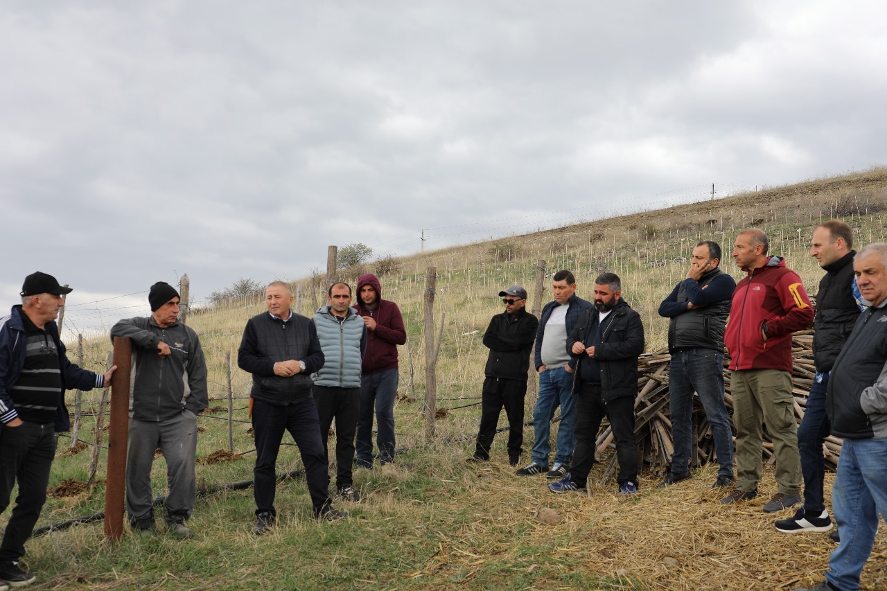 Preserving Georgia’s Viticultural Heritage: A Dive into Local Endemic Grape Varieties
