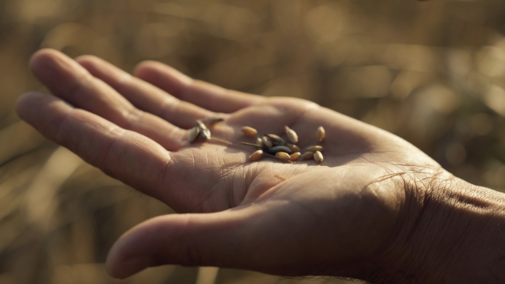 Living Heritage: A Celebration Linking Generations Through Revived Tradition of “Kalooba” In Samtskhe-Javakheti